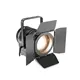 Cameo TS 100 WW - Theater-Spot mit Fresnel-Linse und warmweißer 100 W LED in schwarzem Gehäuse