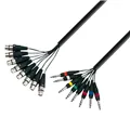 Adam Hall Cables 3 STAR LOOM 8 FV 0300 - Studio Loom Kabel | Adam Hall® 8 XLR Female x 8 Klinke TRS | 3 m