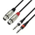 Adam Hall Cables 3 STAR TFP 0600 - Twin Kabel | Adam Hall® 2 XLR Female x 2 Klinke TS | 6 m