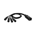 Adam Hall Cables 4 STAR CATBOX XM3 - Audio & DMX Multicore | Adam Hall® 4 XLR 3-Pol Male x Cat.6a