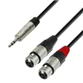 Adam Hall Cables 4 STAR YWFF 0300 - Y-Kabel | Rean® 2 XLR Female x Miniklinke TRS | 3 m