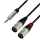 Adam Hall Cables 4 STAR YWMM 0180 - Y-Kabel | Rean® 2 XLR Male x Miniklinke TRS | 1,8 m
