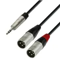 Adam Hall Cables 4 STAR YWMM 0180 - Y-Kabel | Rean® 2 XLR Male x Miniklinke TRS | 1,8 m