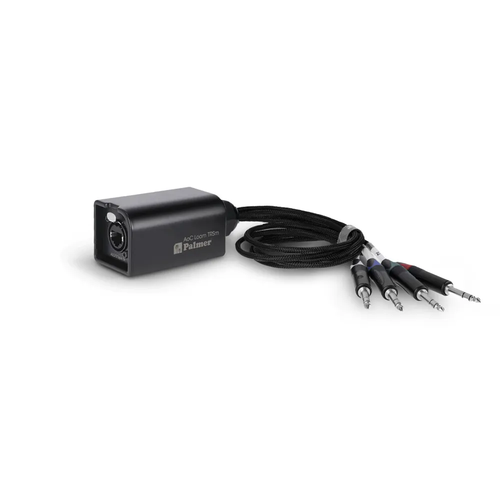 Palmer AoC Loom TRSm - Audio over Cat Multicore-Adapterkabel von etherCON auf 4 x TRS Klinke