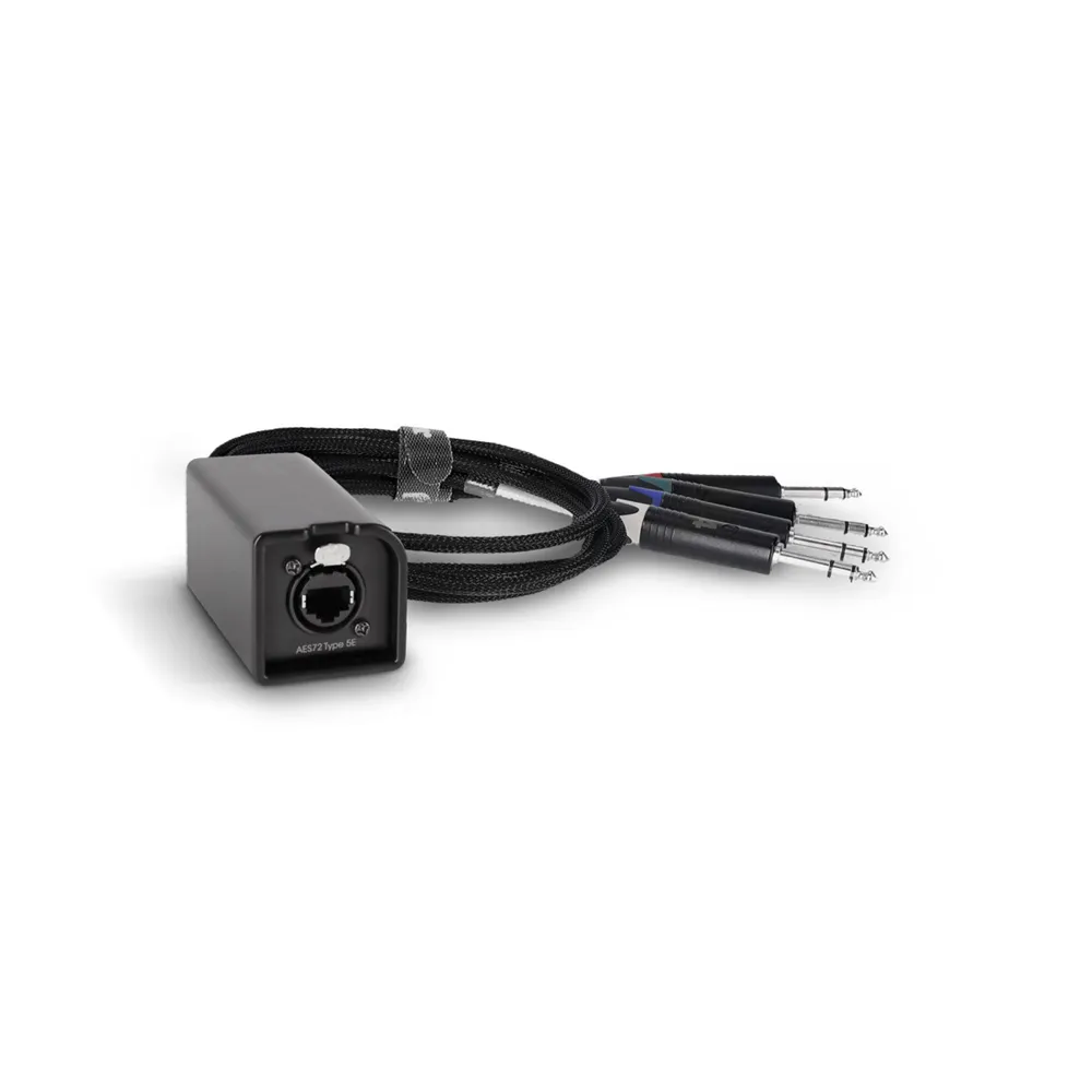 Palmer AoC Loom TRSm - Audio over Cat Multicore-Adapterkabel von etherCON auf 4 x TRS Klinke