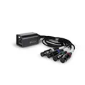 Palmer AoC Loom XLRf - Audio over Cat Multicore-Adapterkabel von etherCON auf 4 x XLR female