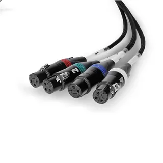 Palmer AoC Loom XLRf - Audio over Cat Multicore-Adapterkabel von etherCON auf 4 x XLR female