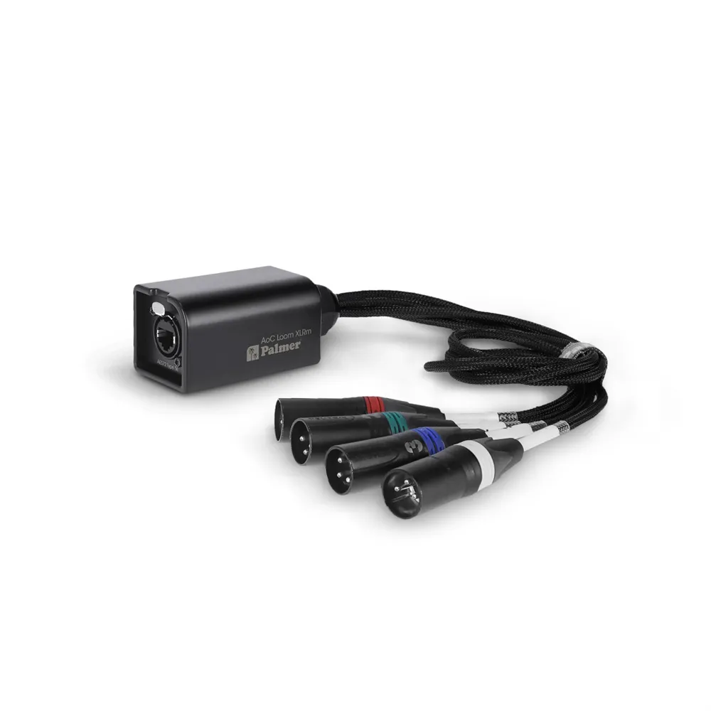 Palmer AoC Loom XLRm - Audio over Cat Multicore-Adapterkabel von etherCON auf 4 x XLR male