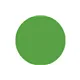 SHOWGEAR Colour Roll 122 x 762 cm 122 Fern Green