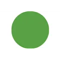 SHOWGEAR Color Roll 122 x 762 cm 122 Fern Green