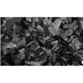 SHOWGEAR Show Confetti Rectangle 55 x 17mm Black 1 kg
