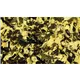 SHOWGEAR Show Confetti Metal Gold Rectangle 1 kg