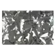 SHOWGEAR Show Confetti Metal Silver Stars 1 kg
