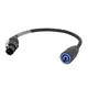 DAP powerCON Out to powerCON TRUE1 Male Adapter