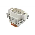 ILME 6p. Squich Insert Male