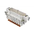 ILME 16p. Squich Insert Male