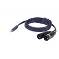 DAP FL46 - stereo mini Jack to 2 XLR/M 3 p. 6 m
