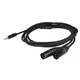 DAP FLX46 - stereo mini Jack to 2 XLR/M 3p. 3m recessed jack body
