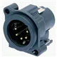 Neutrik Chassisstecker mit Schalter Kunststoffgehaeuse sw