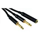 ROCKCABLE von Contrik Y-Kabel 0,3m mit Jackbuchse 6,35mm (RCY03JMP)