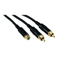 ROCKCABLE von Contrik Y-Kabel mit Cinch-Buchse (RCY03FCC)