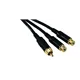 ROCKCABLE von Contrik Y-Kabel 0,3m mit Cinch-Stecker (RCY03CFC)