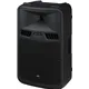 IMG STAGELINE Musiker-Aktivbox T:350W H:100W 40-20000Hz
