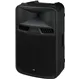IMG STAGELINE Musiker-Aktivbox T:350W H:100W 40-20000Hz