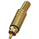 MONACOR Cinch-Stecker, vergoldet