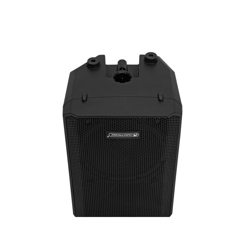 OMNITRONIC VFM-208 MK2 2-Wege Lautsprecher