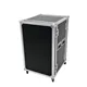 ROADINGER Rack Profi 12HE 45cm mit Rollen