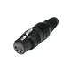 HICON XLR Buchse 4pol HI-X4CF-G