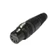 HICON XLR Buchse 5pol HI-X5CF-B