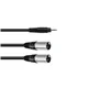 OMNITRONIC Adapterkabel 3,5 Klinke/2xXLR(M) 3m sw