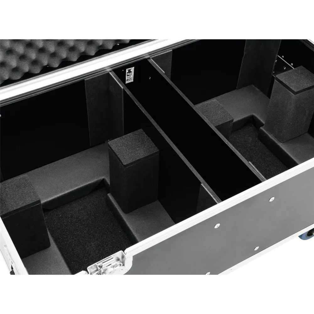 ROADINGER Flightcase 2x THA-250F