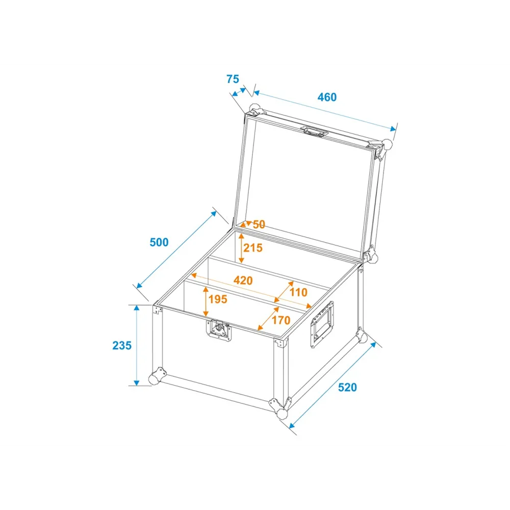 ROADINGER Flightcase 2x Audience Blinder 2x100W LED COB CW/WW