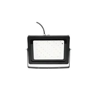 EUROLITE LED IP FL-100 SMD RGB
