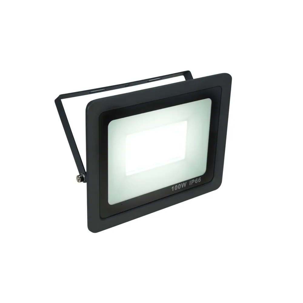 EUROLITE LED IP FL-100 SMD CW