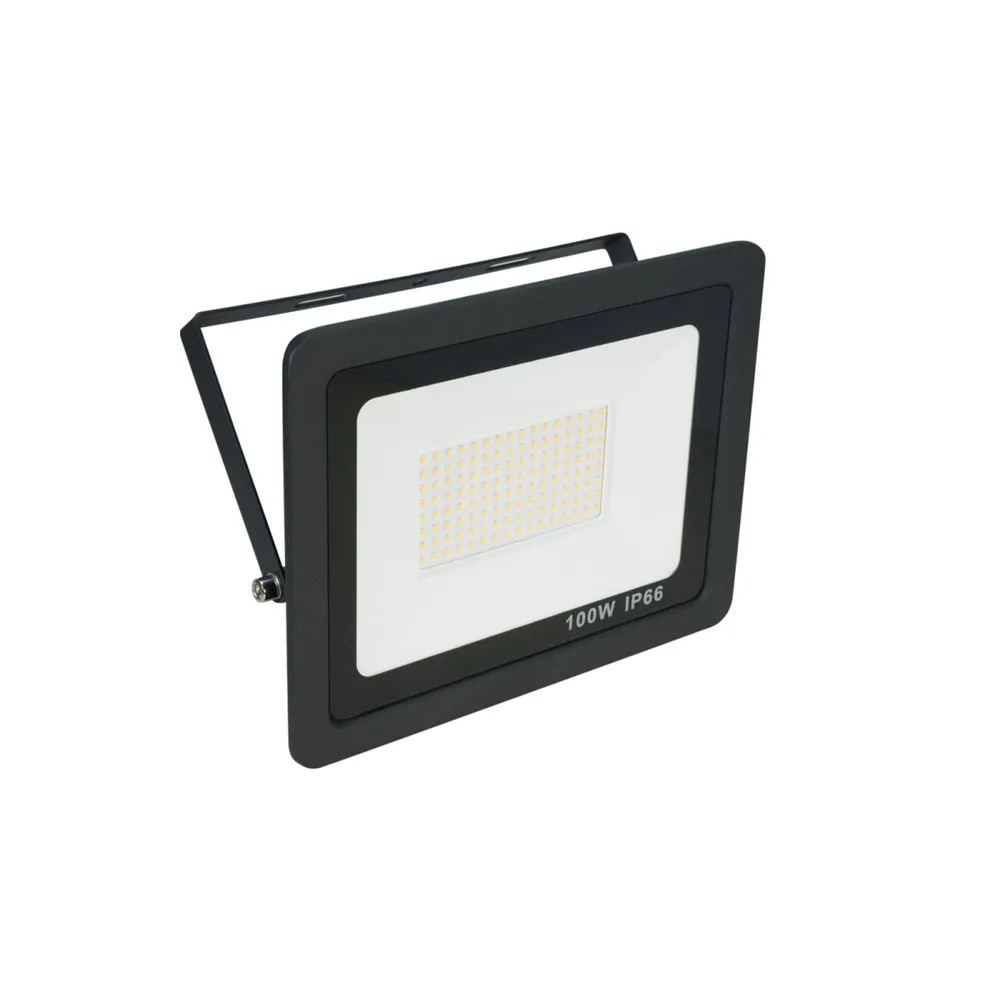 EUROLITE LED IP FL-100 SMD CW