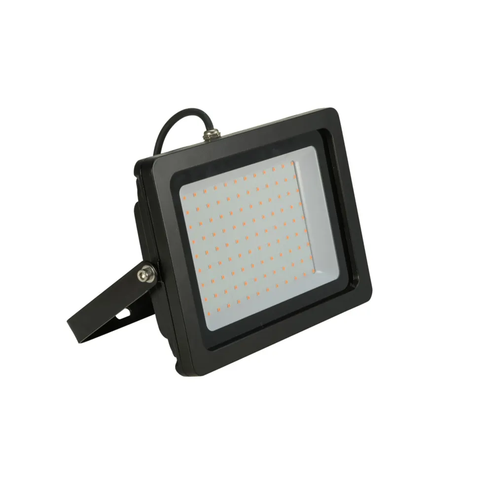EUROLITE LED IP FL-100 SMD blau