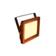 EUROLITE LED IP FL-100 SMD orange