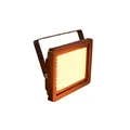EUROLITE LED IP FL-100 SMD Orange