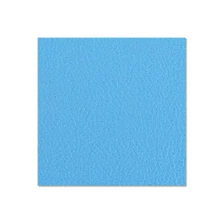 Adam Hall Hardware 04752 G - Birkensperrholz kunststoffbeschichtet mit Gegenzugfolie himmelblau 6,9 mm