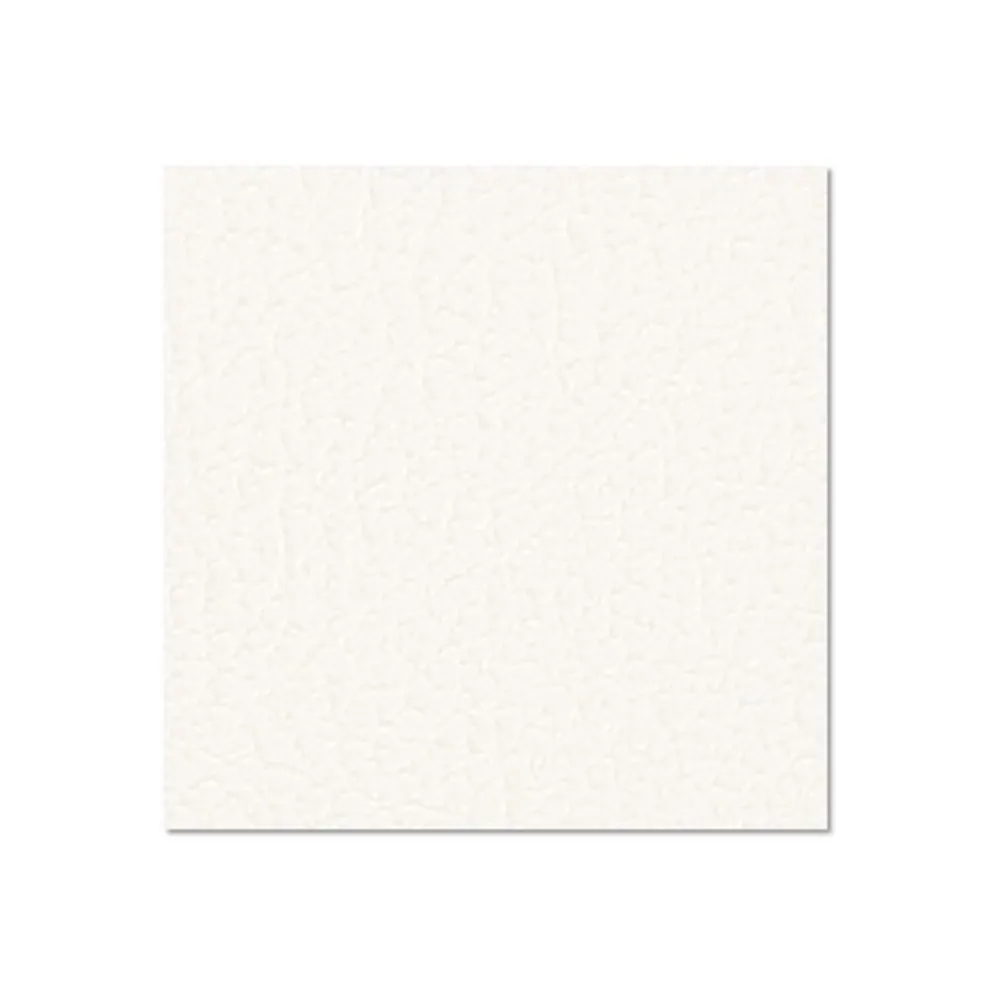 Adam Hall Hardware 0491 G - Birkensperrholz kunststoffbeschichtet mit Gegenzugfolie weiß 9,4 mm