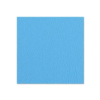 Adam Hall Hardware 04952 G - Birkensperrholz kunststoffbeschichtet mit Gegenzugfolie himmelblau 9,4 mm
