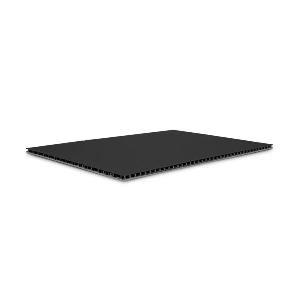 Adam Hall Hardware 0546 BG - SolidLite® PP-Platte schwarz / grau 4,5 mm, 2500 x 1250 mm