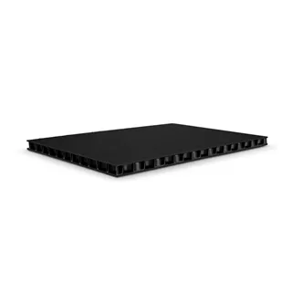 Adam Hall Hardware 0594 BB - SolidLite® PP-Platte schwarz / schwarz 9,4 mm, 2500 x 1250 mm