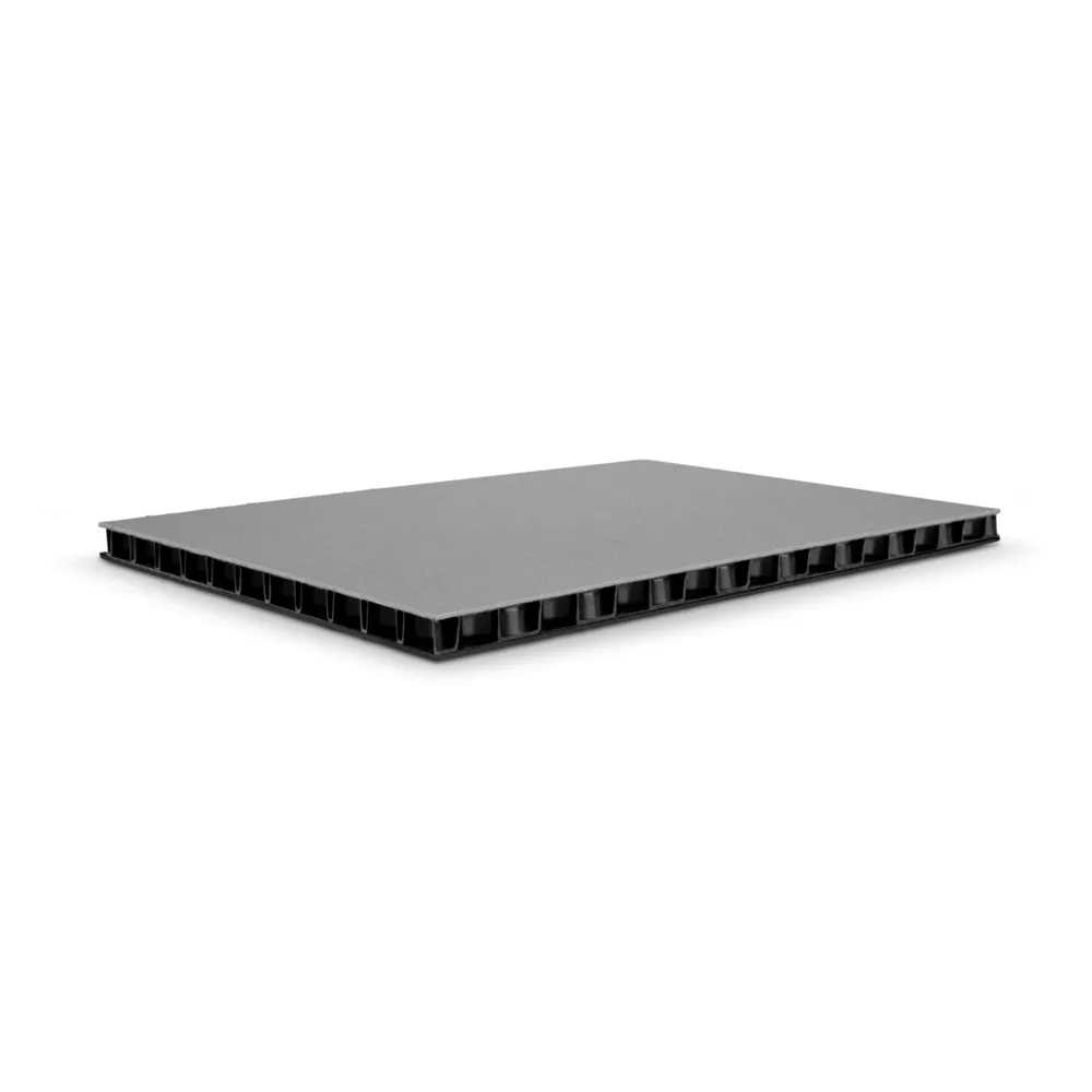 Adam Hall Hardware 0594 BG - SolidLite® PP-Platte schwarz / grau 9,4 mm, 2500 x 1250 mm