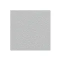 Adam Hall Hardware 0773 G - Pappelsperrholz kunststoffbeschichtet mit Gegenzugfolie telegrau 6,8 mm